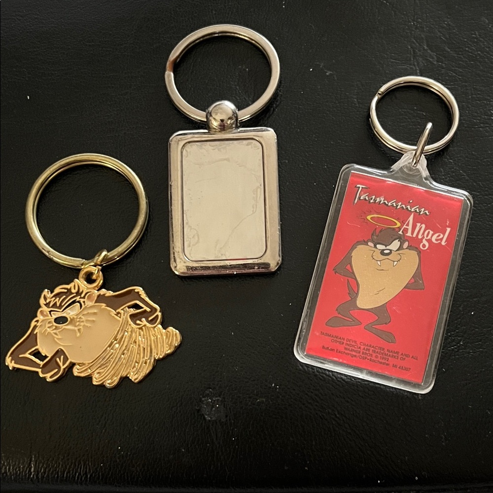 Warner Bros. Gold and Silver Keychain Trio